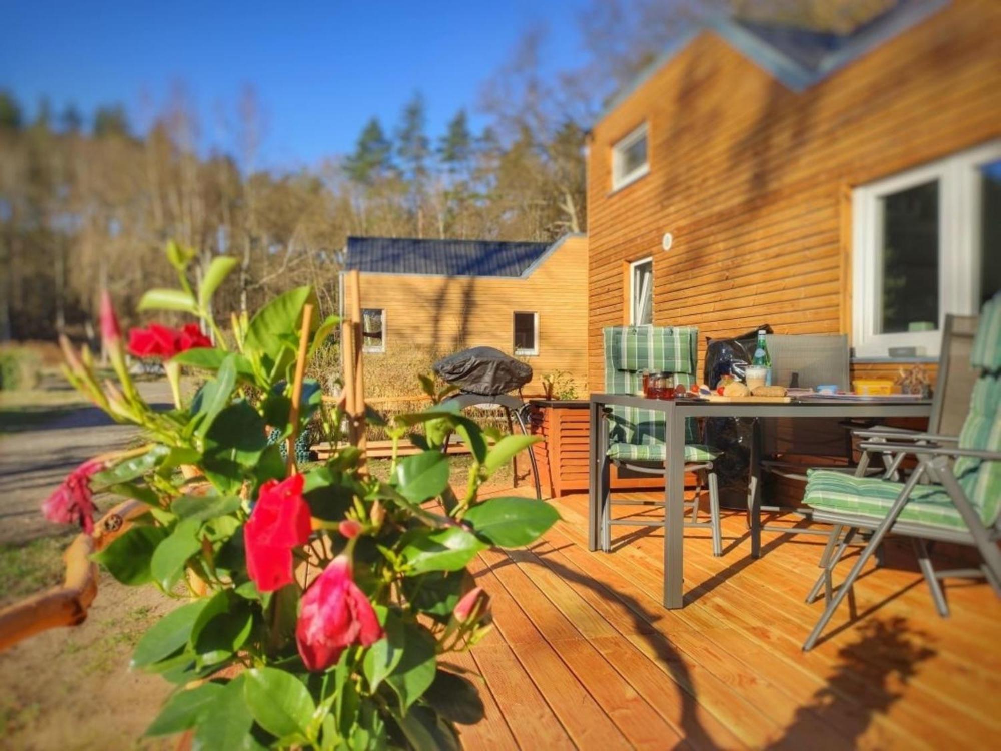 Apartament Ferien Im Tiny House Stuer